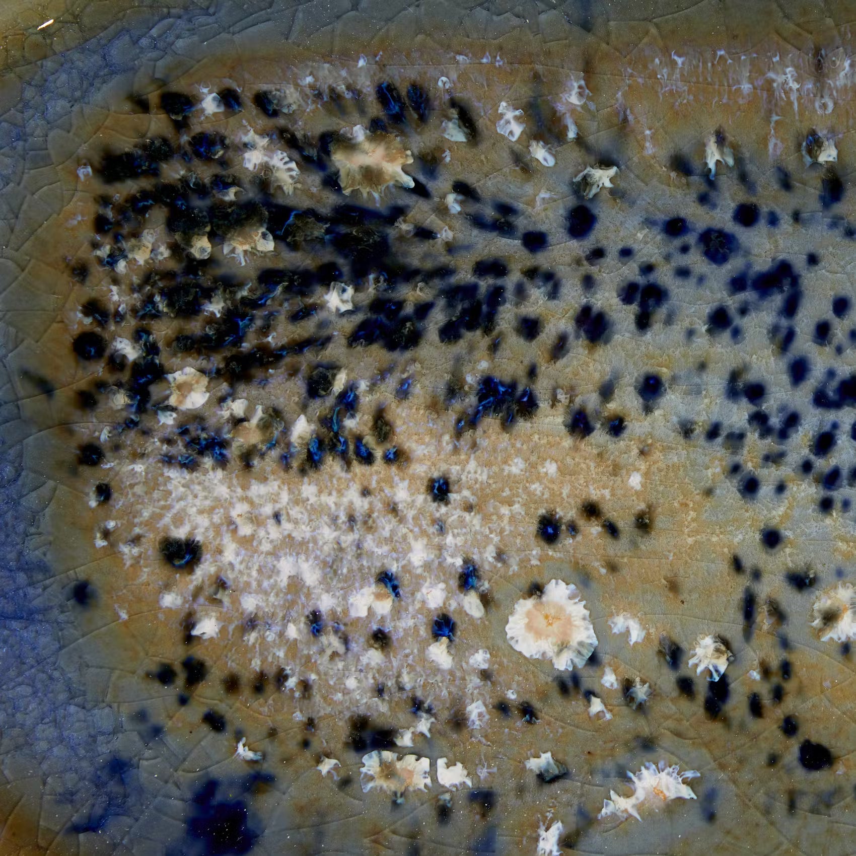 Servierschale SINTRA